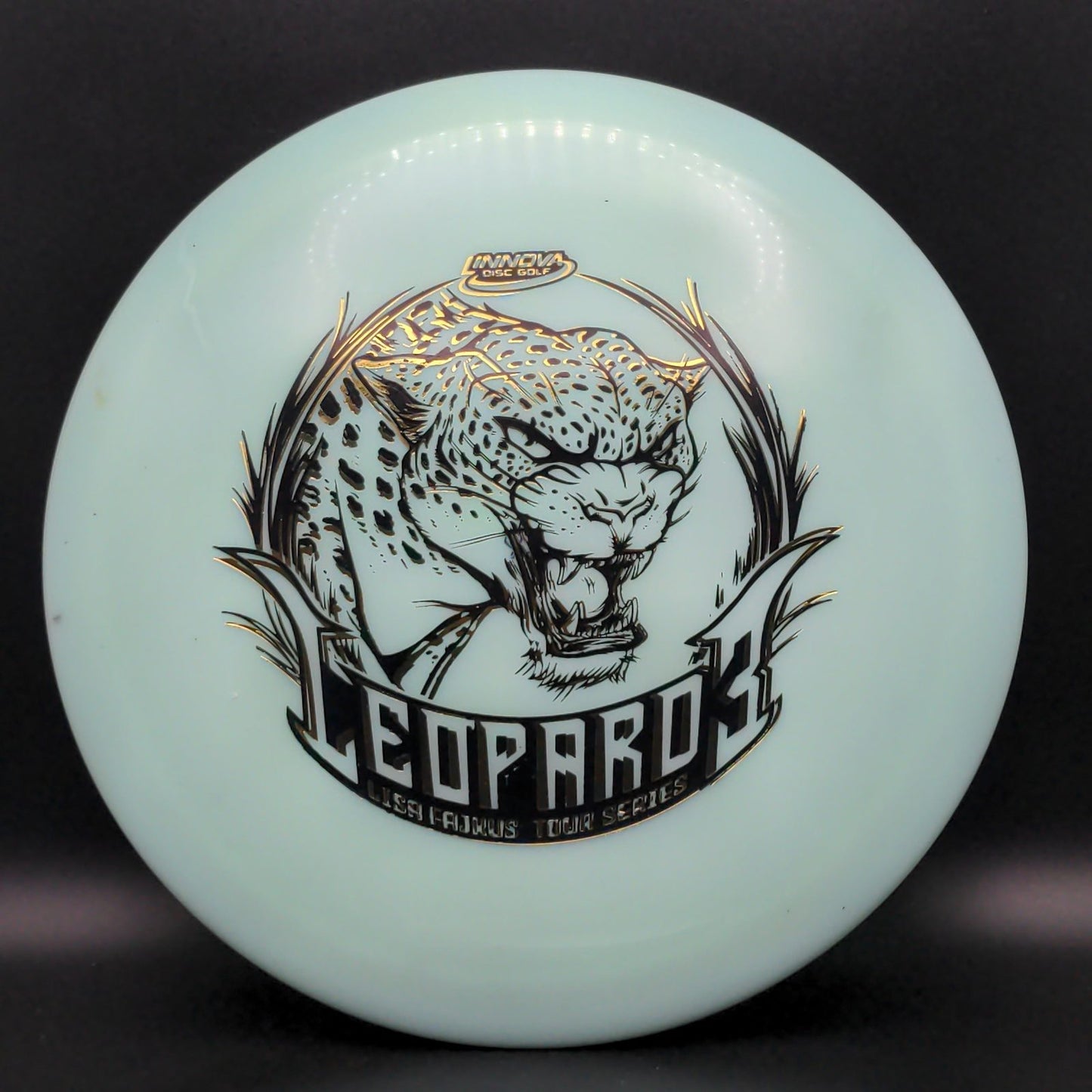 Swirly Star Leopard3 - Lisa Fajkus 2020 TS - X-Out Double Stamp