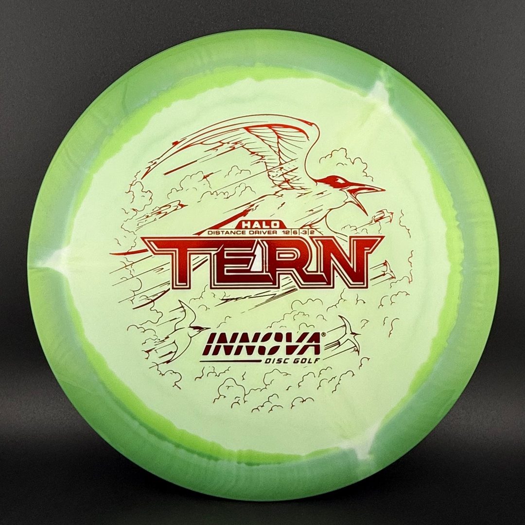 Halo Star Tern