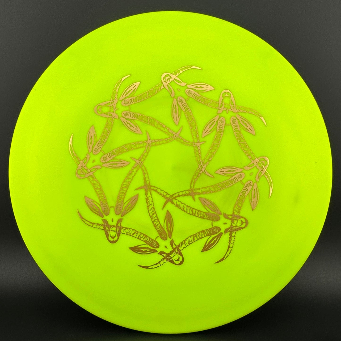 Star Gazelle - Limited Edition