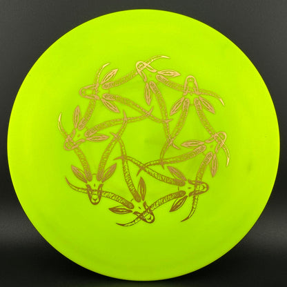 Star Gazelle - Limited Edition