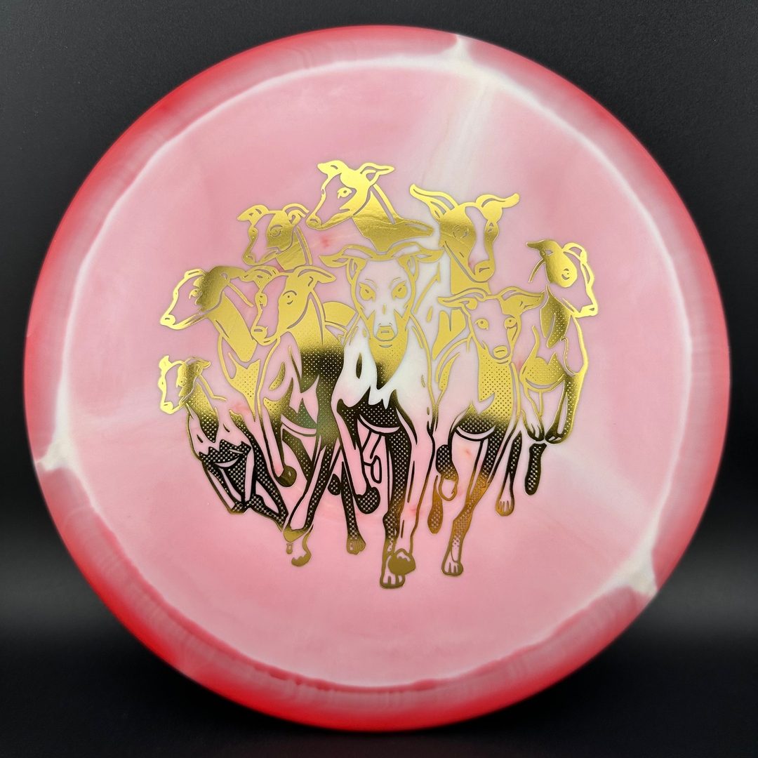 Halo Star Whippet X - First Run