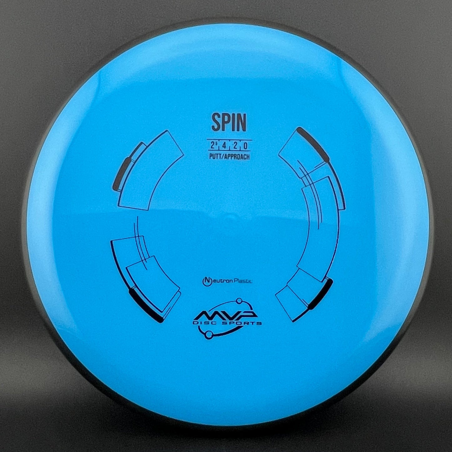 Neutron Spin