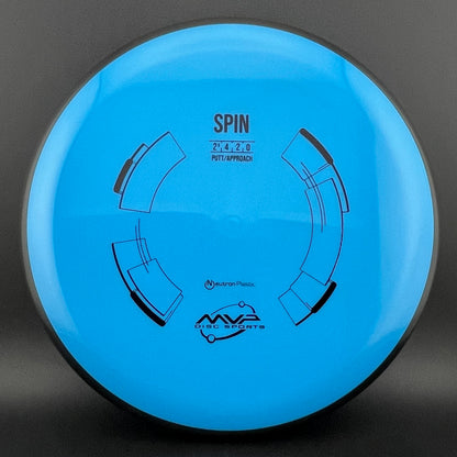 Neutron Spin