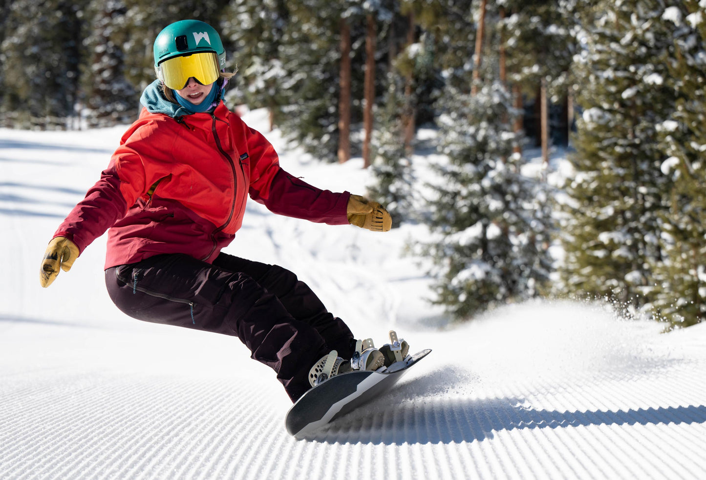 Gnarnia Snowboard