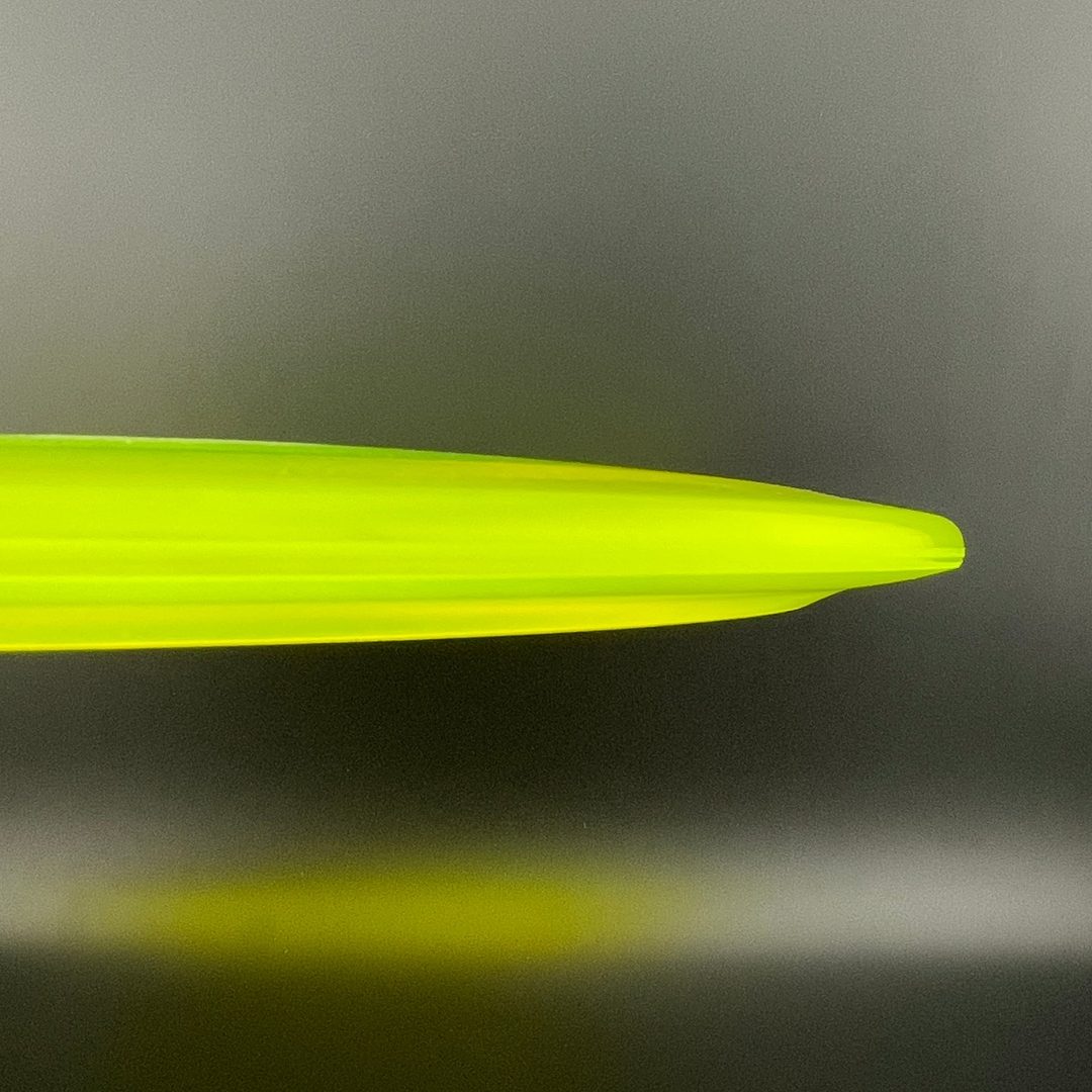 Champion FL (Penned) - F2