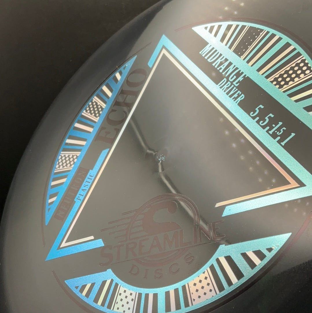Neutron Echo