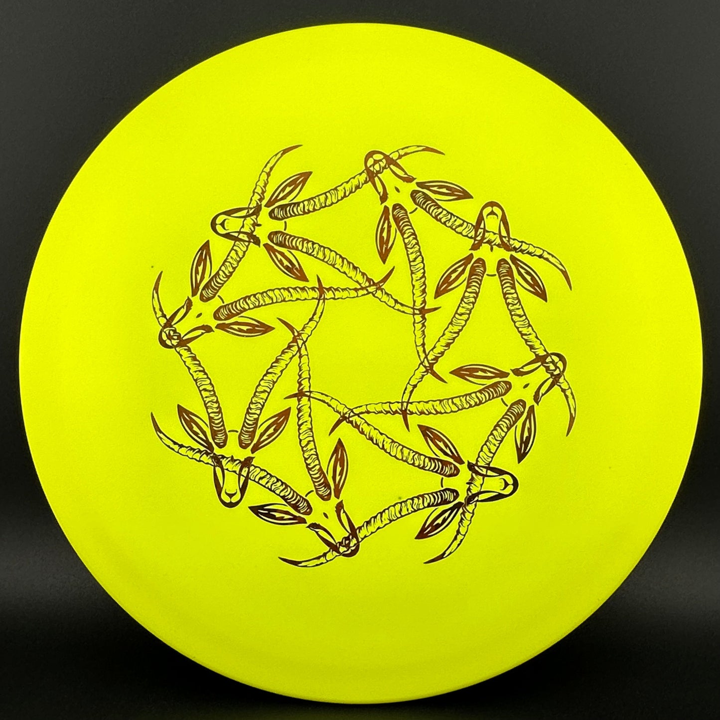 Star Gazelle - Limited Edition