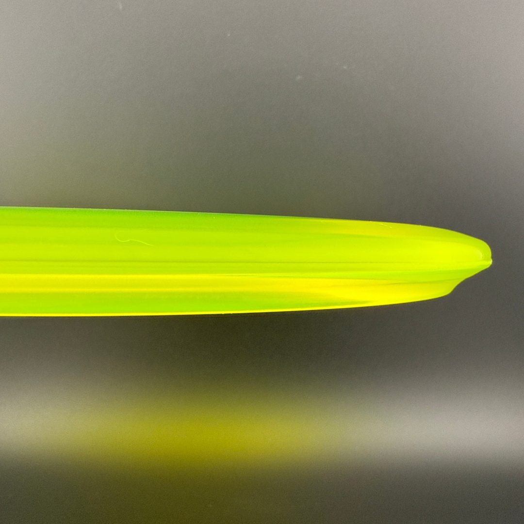 Champion Shark3 (Penned) - F2