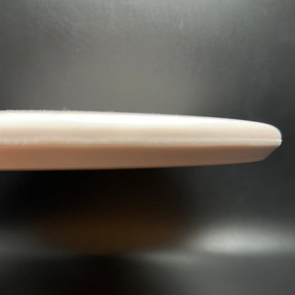 N-Blend Cohort - Bottom Stamp