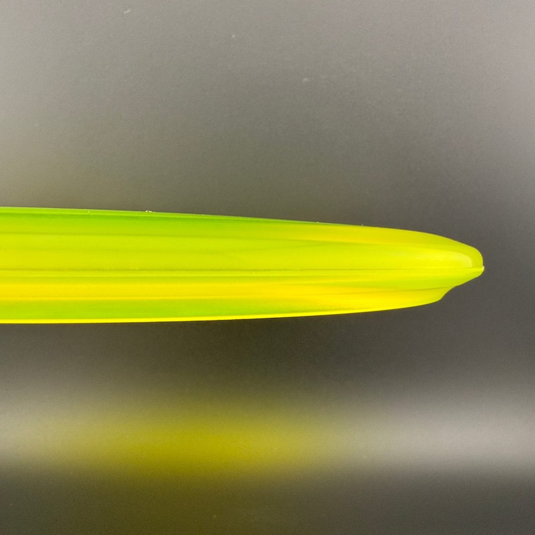 Champion Shark3 (Penned) - F2