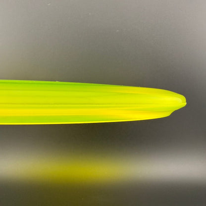 Champion Shark3 (Penned) - F2