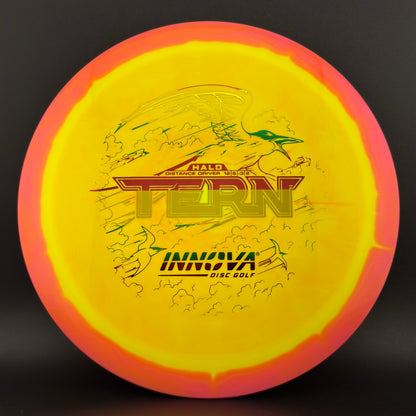 Halo Star Tern