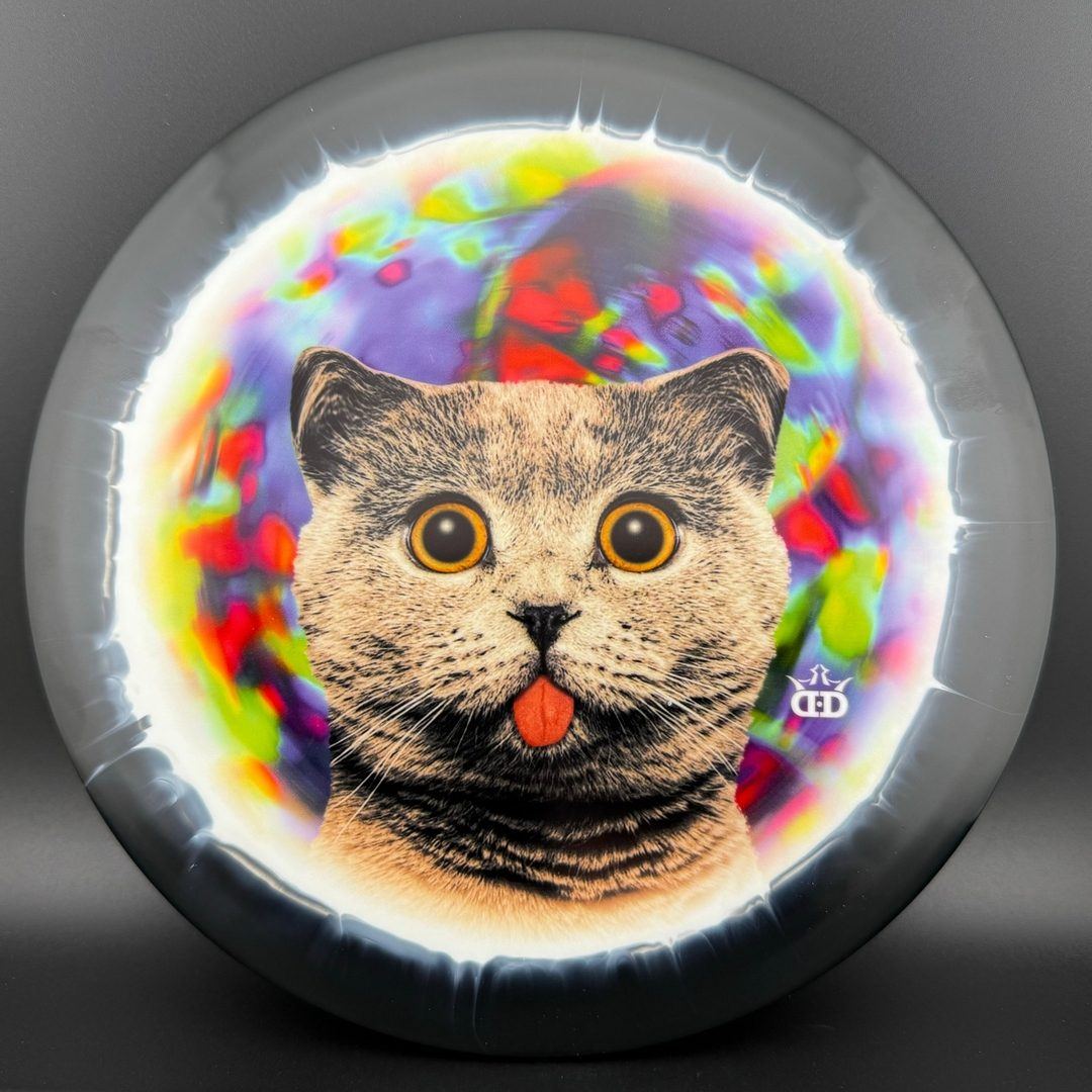 Fuzion Orbit Verdict - Kitty Trippin' - DyeMax