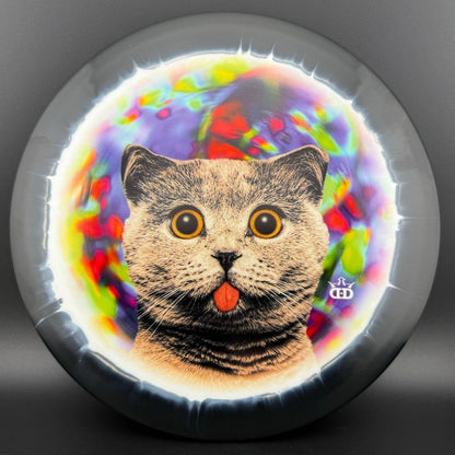 Fuzion Orbit Verdict - Kitty Trippin' - DyeMax