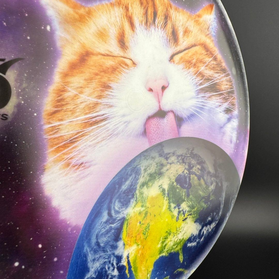 Tournament Bear - DyeMax - "Space Kitty, Globe Licker"