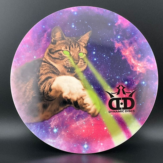Tournament Bear - DyeMax - "Laser Kitty"