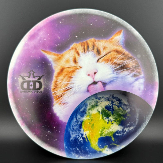 Tournament Bear - DyeMax - "Space Kitty, Globe Licker"