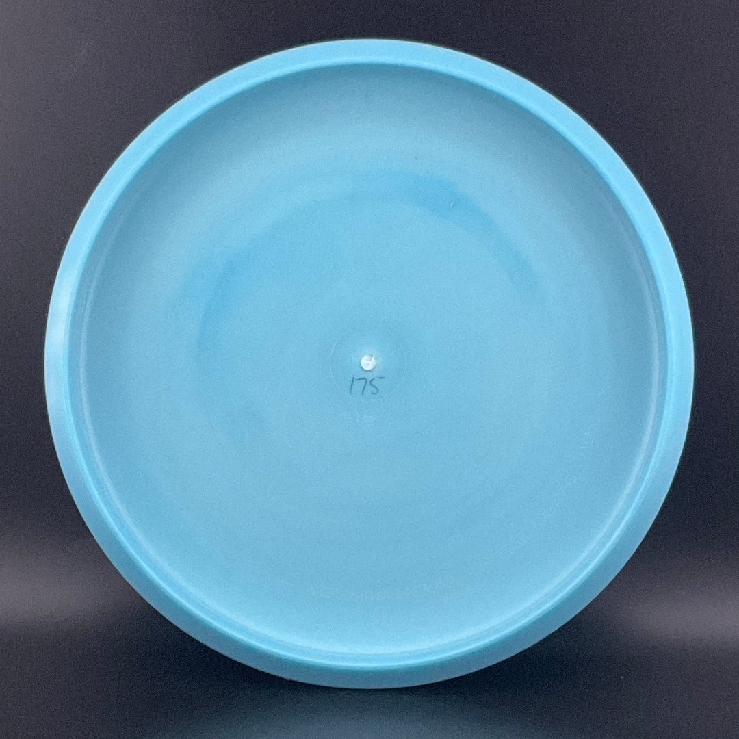 Pro Color Glow Aviar - 2021 Ricky Wysocki - Lion Portrait