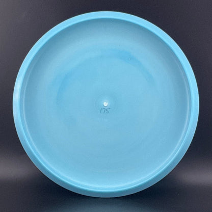 Pro Color Glow Aviar - 2021 Ricky Wysocki - Lion Portrait