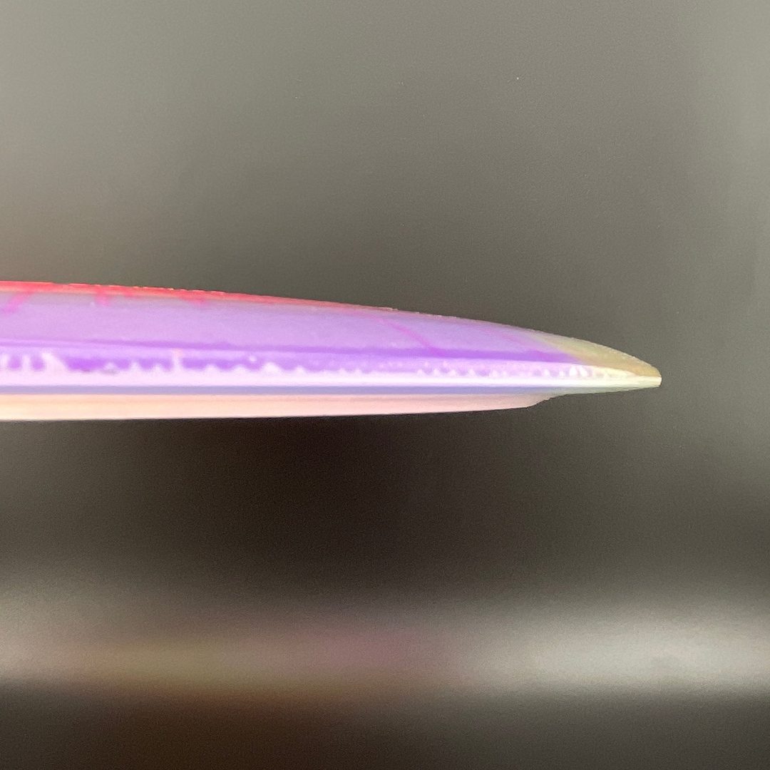 I-Dye Champion Tern