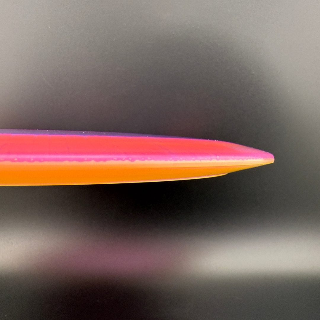 I-Dye Champion SL (Starfire-L) - Penned Run - F2