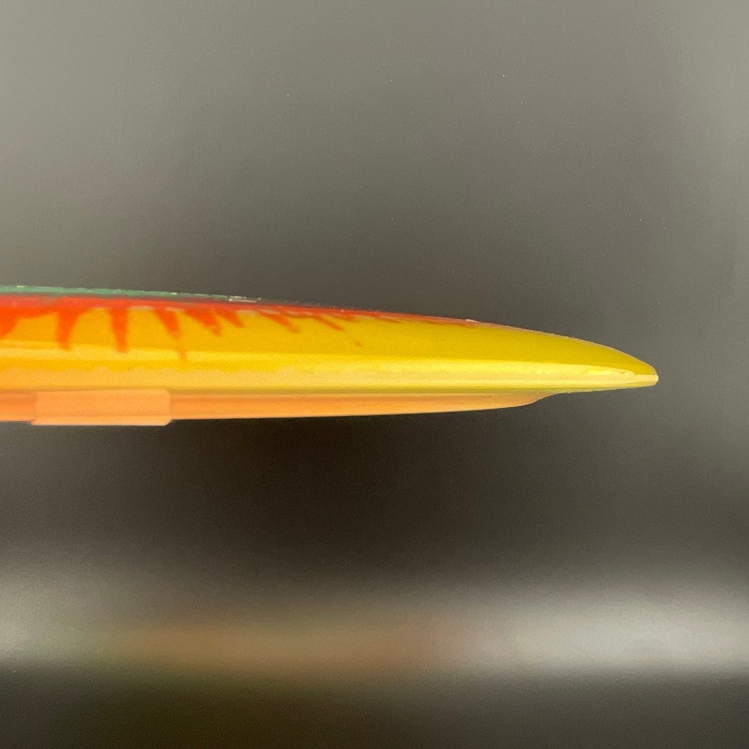 I-Dye Champion Tern