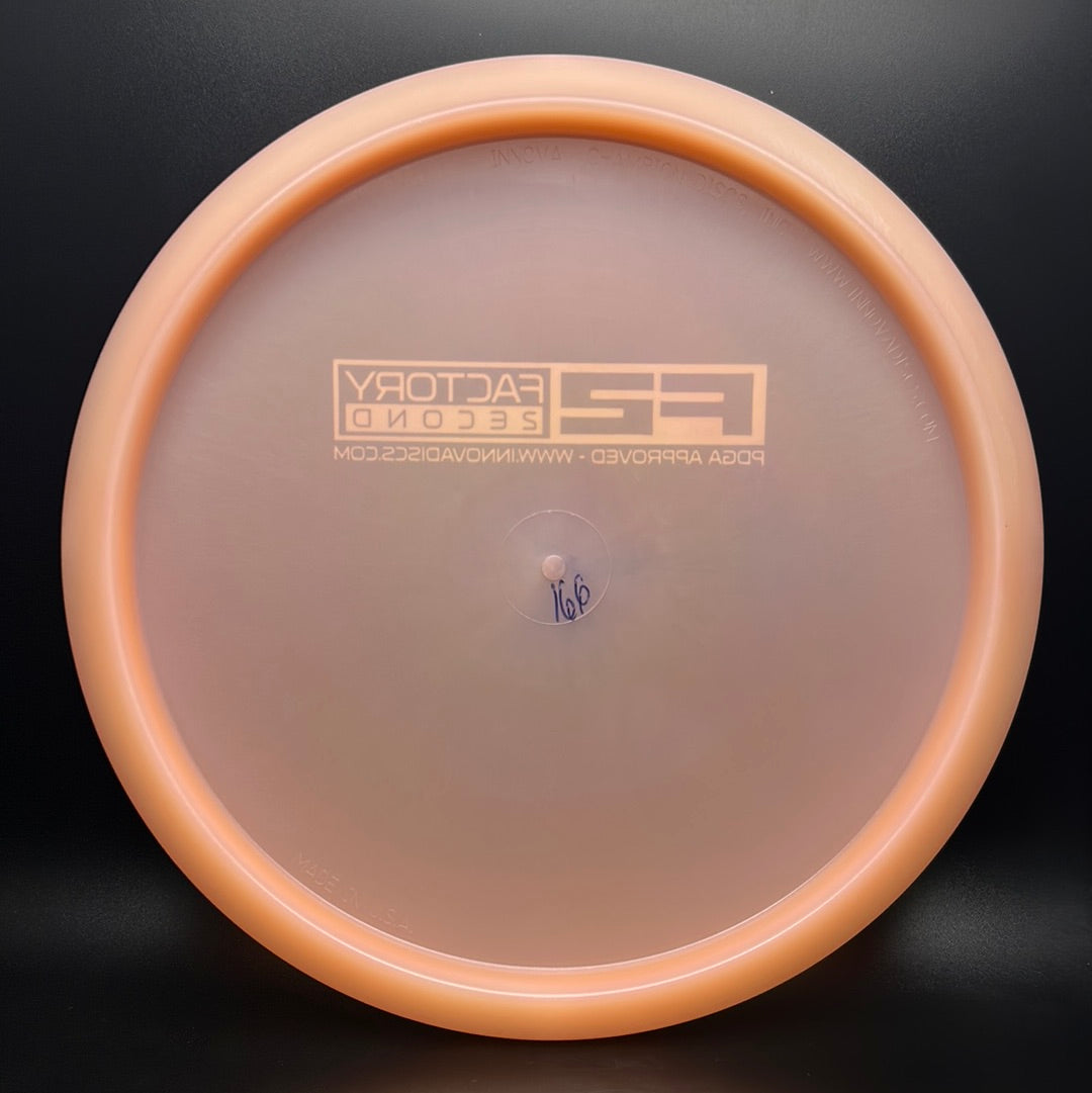 Champion Caiman - F2