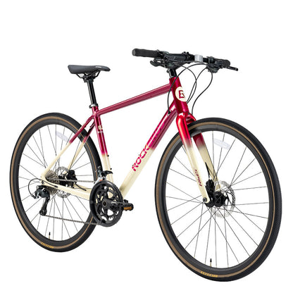 SPIN-P2M Carbon Fiber Fork Aluminum Frame Road Bike