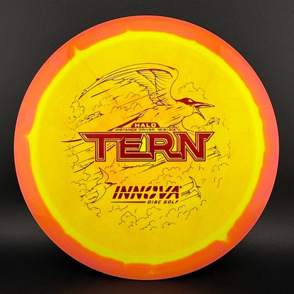 Halo Star Tern