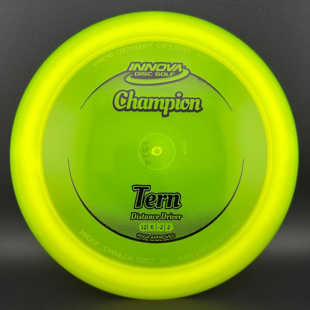 Champion Tern