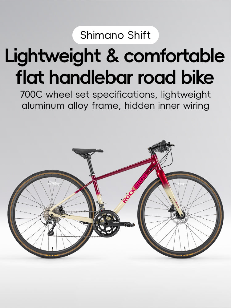 SPIN-P2M Carbon Fiber Fork Aluminum Frame Road Bike