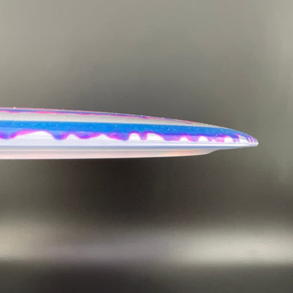 I-Dye Champion Tern