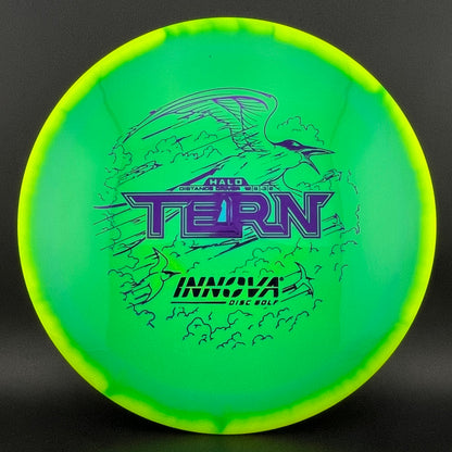 Halo Star Tern