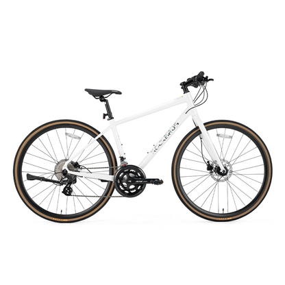 ROCKBROS RIDA P2E Series Road Bike