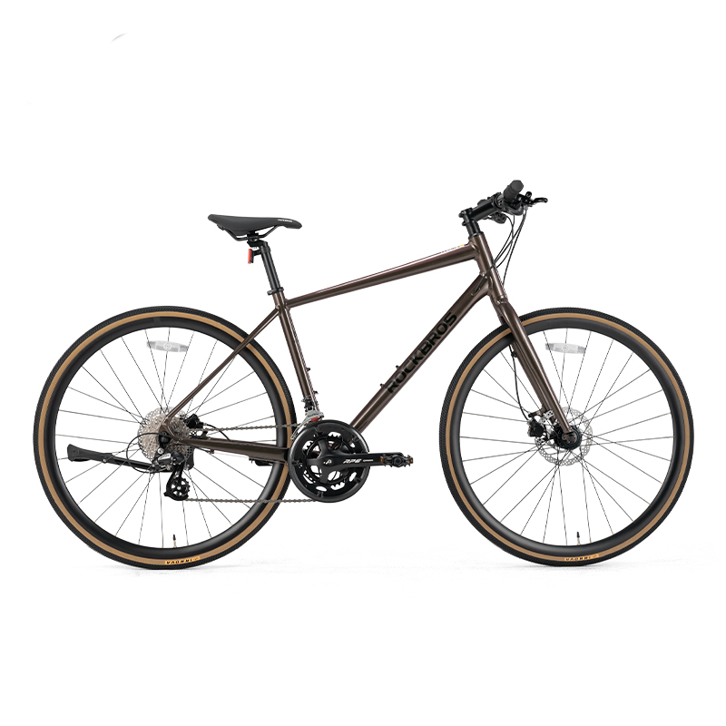 ROCKBROS RIDA P2E Series Road Bike