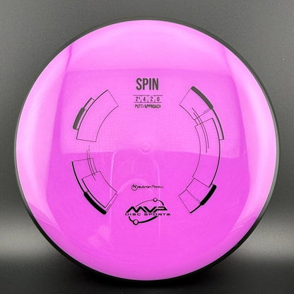 Neutron Spin