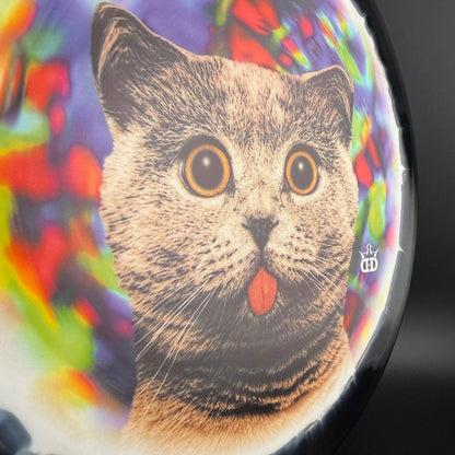 Fuzion Orbit Verdict - Kitty Trippin' - DyeMax
