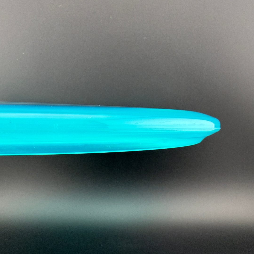 Champion Shark3 (Penned) - F2