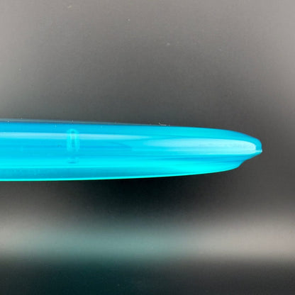 Champion Shark3 (Penned) - F2