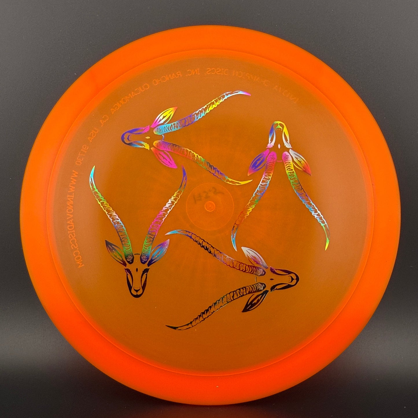 Champion Gazelle - Artist's Corner