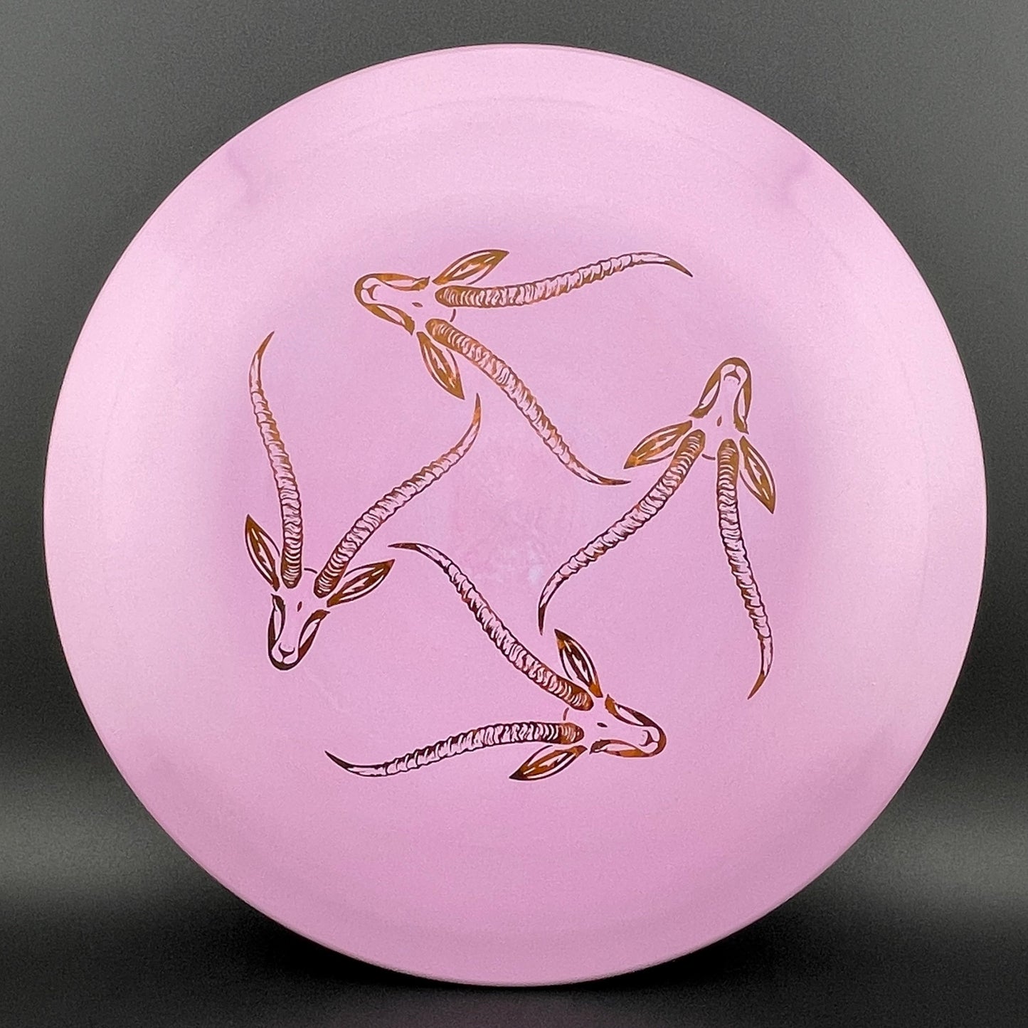 Star Gazelle - Limited Edition