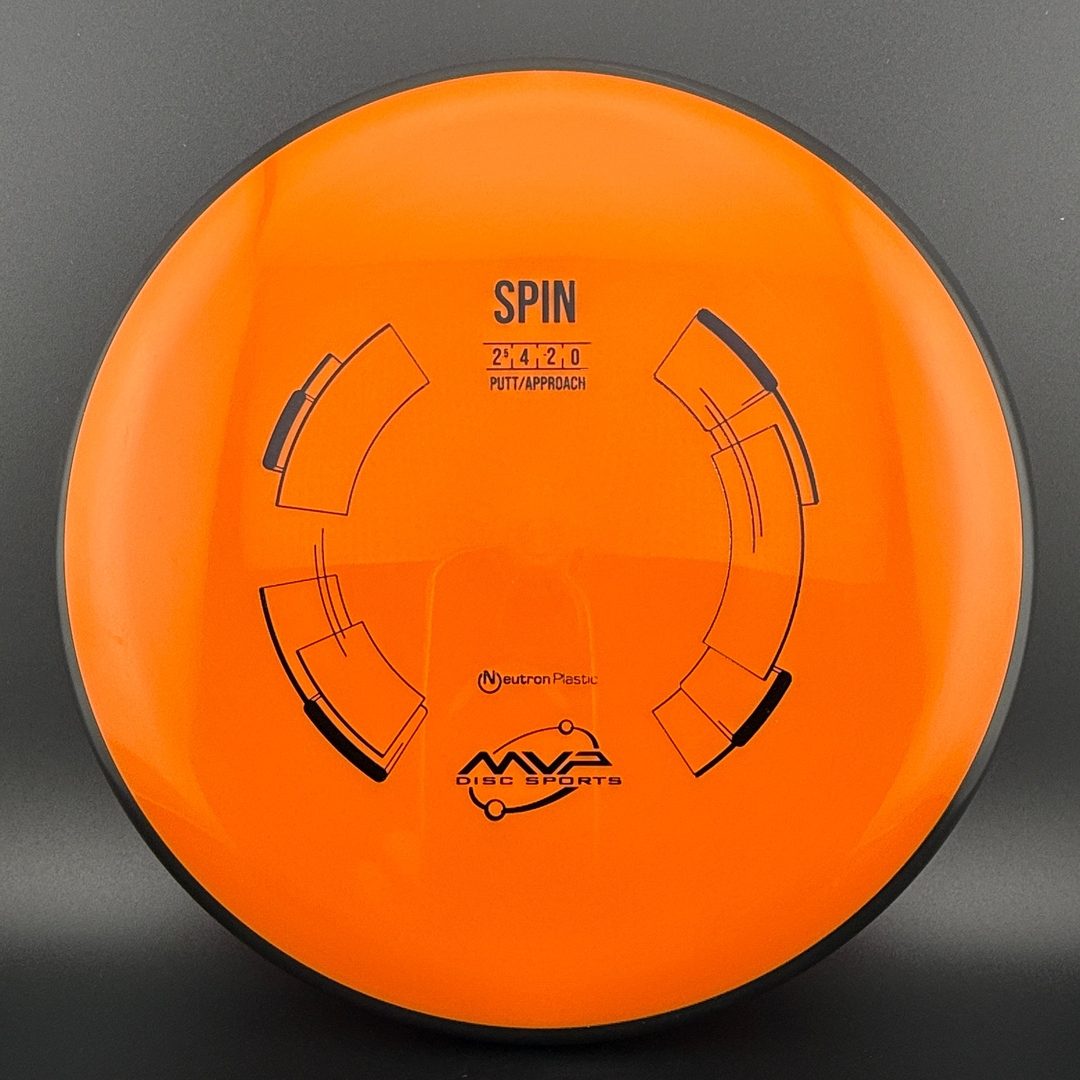 Neutron Spin