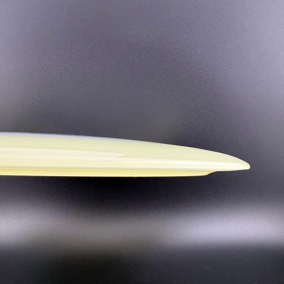Proto Glow Champion Tern