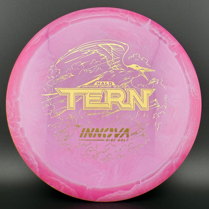 Halo Star Tern