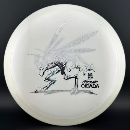 Big Z Cicada