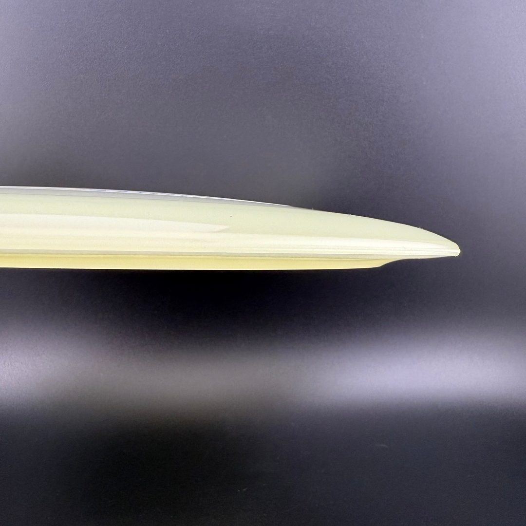 Proto Glow Champion Tern