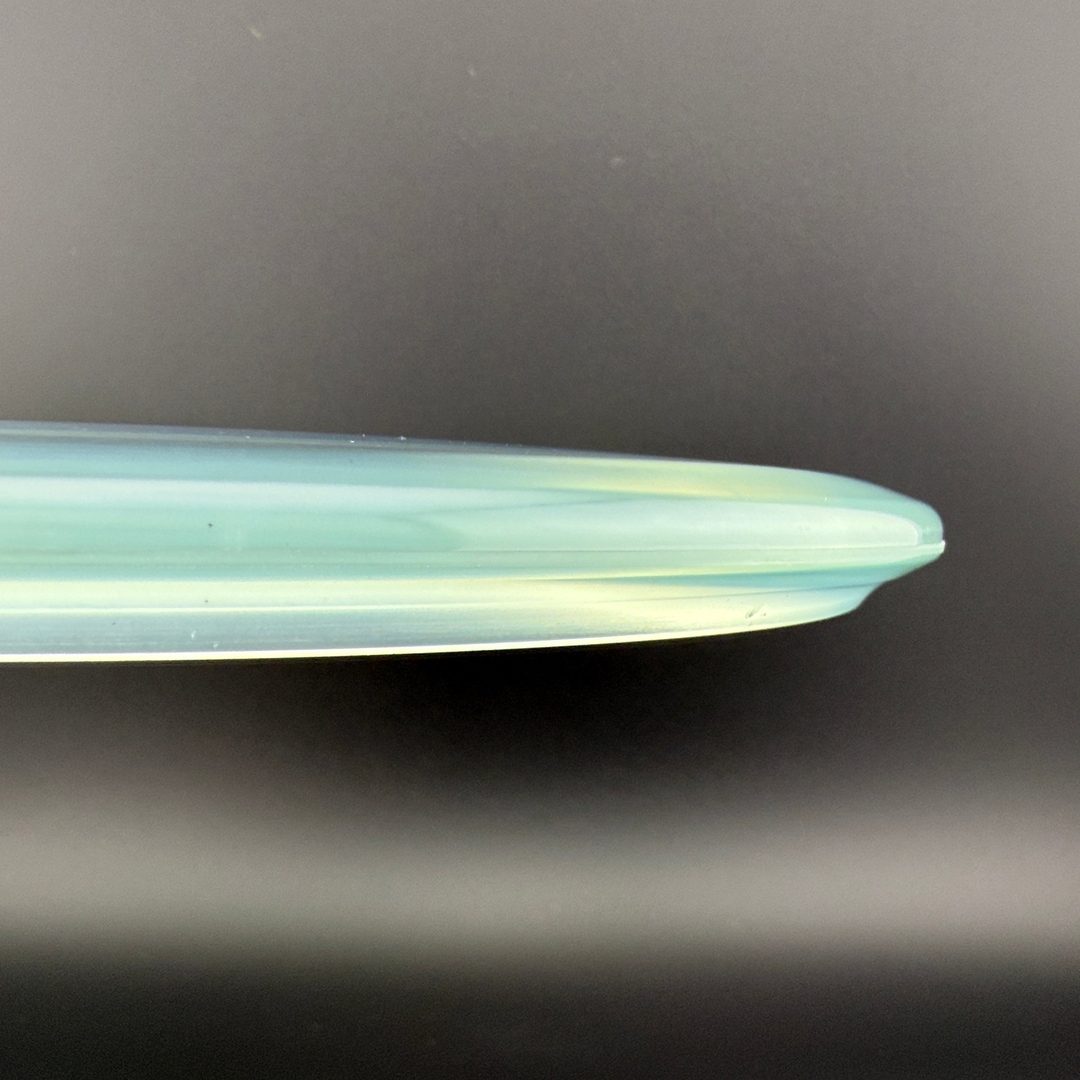 Champion Shark3 (Penned) - F2
