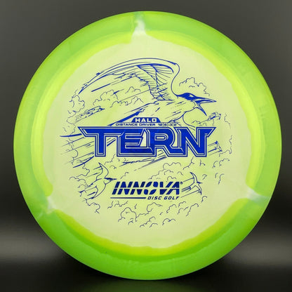 Halo Star Tern