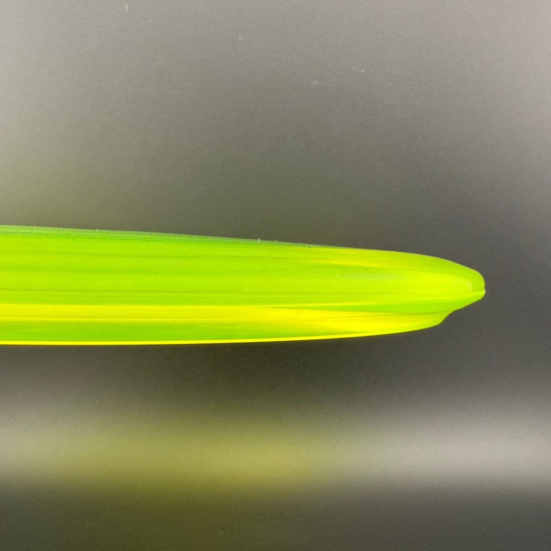 Champion Shark3 (Penned) - F2