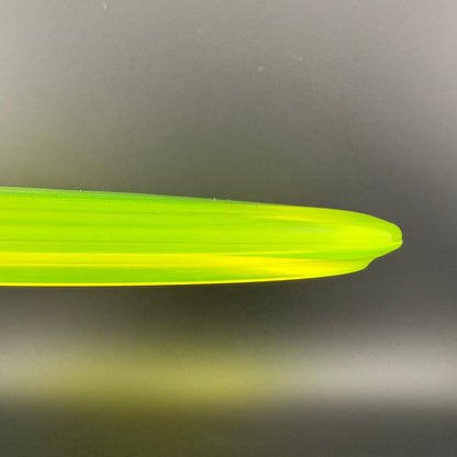 Champion Shark3 (Penned) - F2